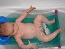 IMG 1428