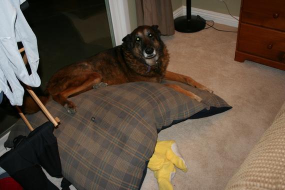 IMG 1527