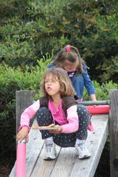 IMG 4845