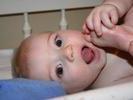 IMG 1531