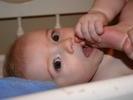 IMG 1532