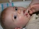 IMG 1541