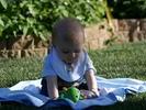 IMG 1574