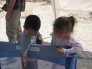 IMG 4803