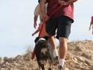 IMG 5371