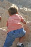 IMG 5384