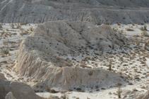 IMG 5391