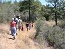 IMG 1768