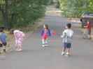 IMG 5484