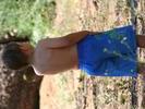 IMG 1685