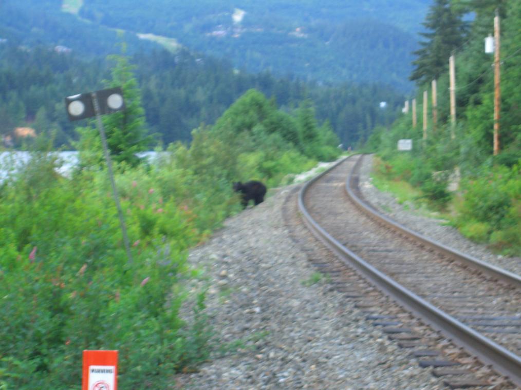CIMG0543