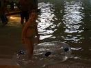 IMG 1817