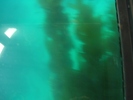 CIMG0149