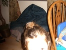 CIMG0222