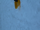 CIMG0256