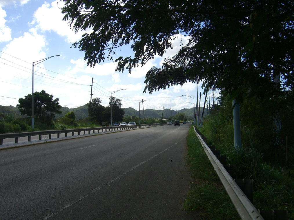 CIMG1769