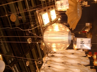 IMGP2466