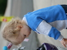 IMG 4424