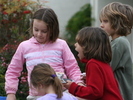 IMG 4454