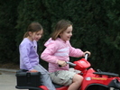IMG 4512