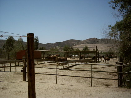 DSCI0012
