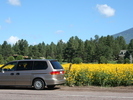 IMG 6080