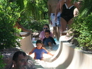 IMG 6459