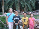 IMG 6539