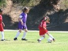 IMG 8530