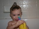 IMG 0730