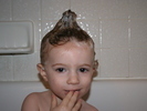IMG 0731