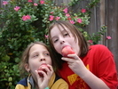 IMG 0773