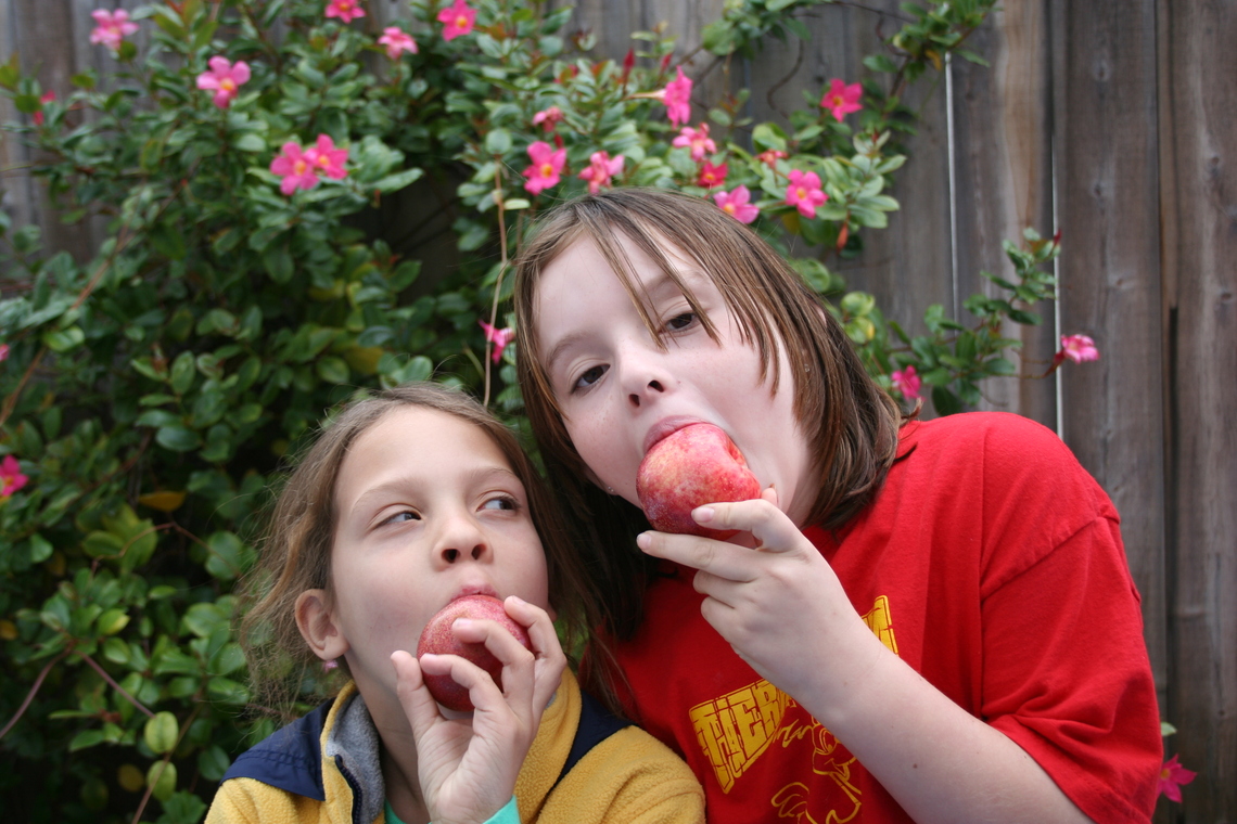 IMG 0773