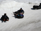 IMG 0985