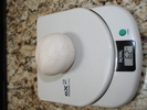 IMG 0948