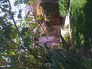 IMG 0779
