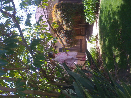 IMG 0779