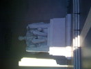 IMG 0802