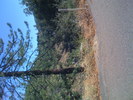 IMG 0844