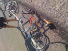 IMG 0848