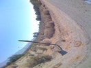 IMG 0851