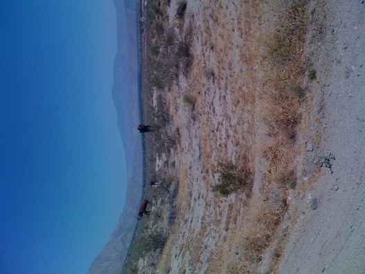 IMG 0852