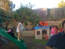 IMG 0795
