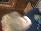 IMG 0817