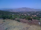 IMG 0818