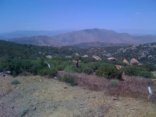 IMG 0818