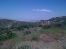 IMG 0819