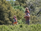 IMG 1152