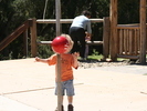 IMG 1157