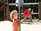 IMG 1161